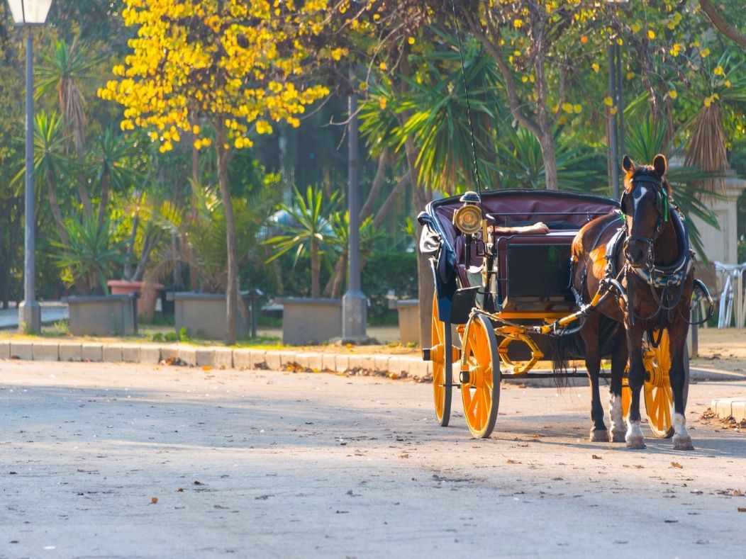 Parque María Luisa